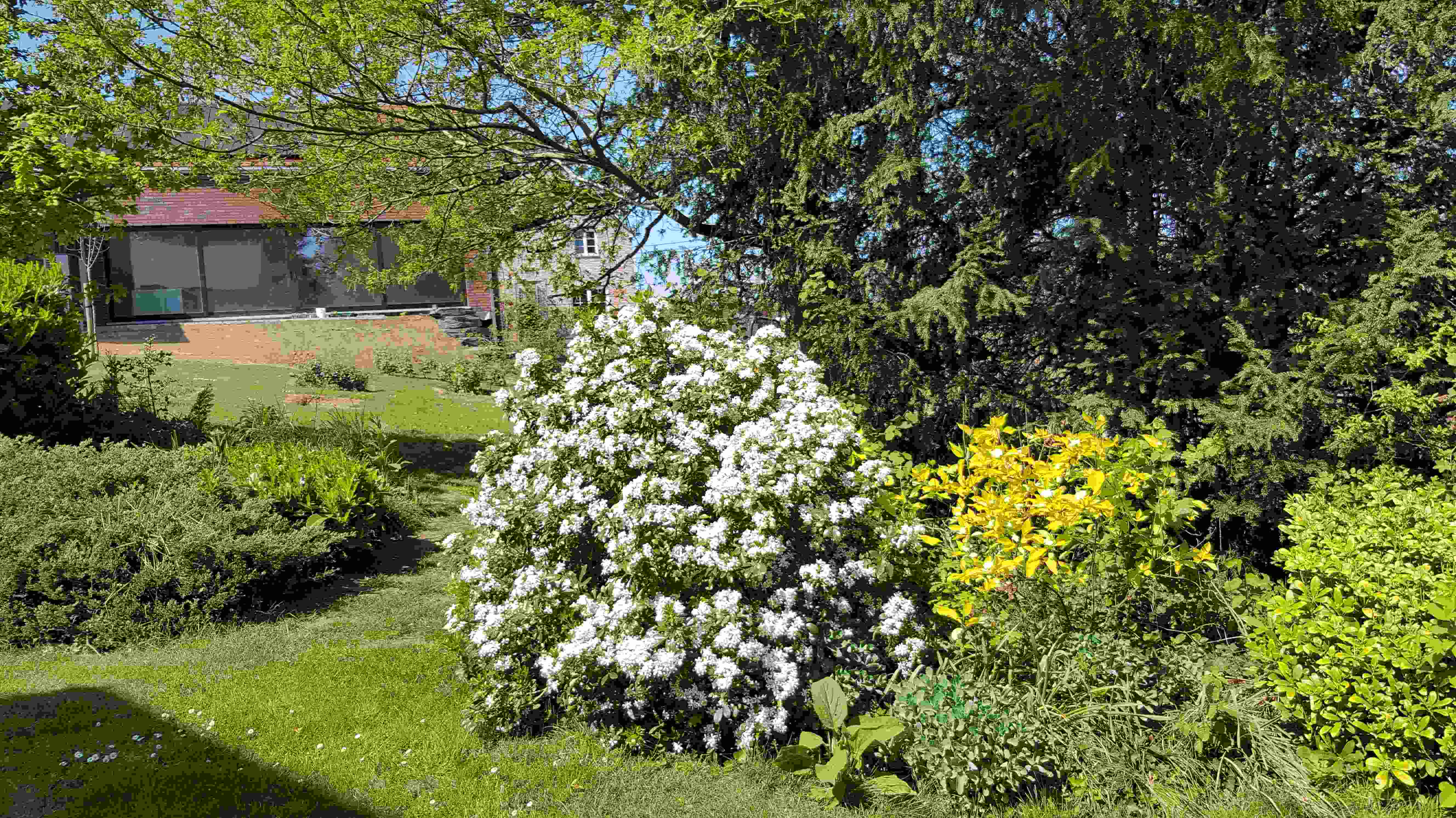 oranger mexic20200426_152026.jpg